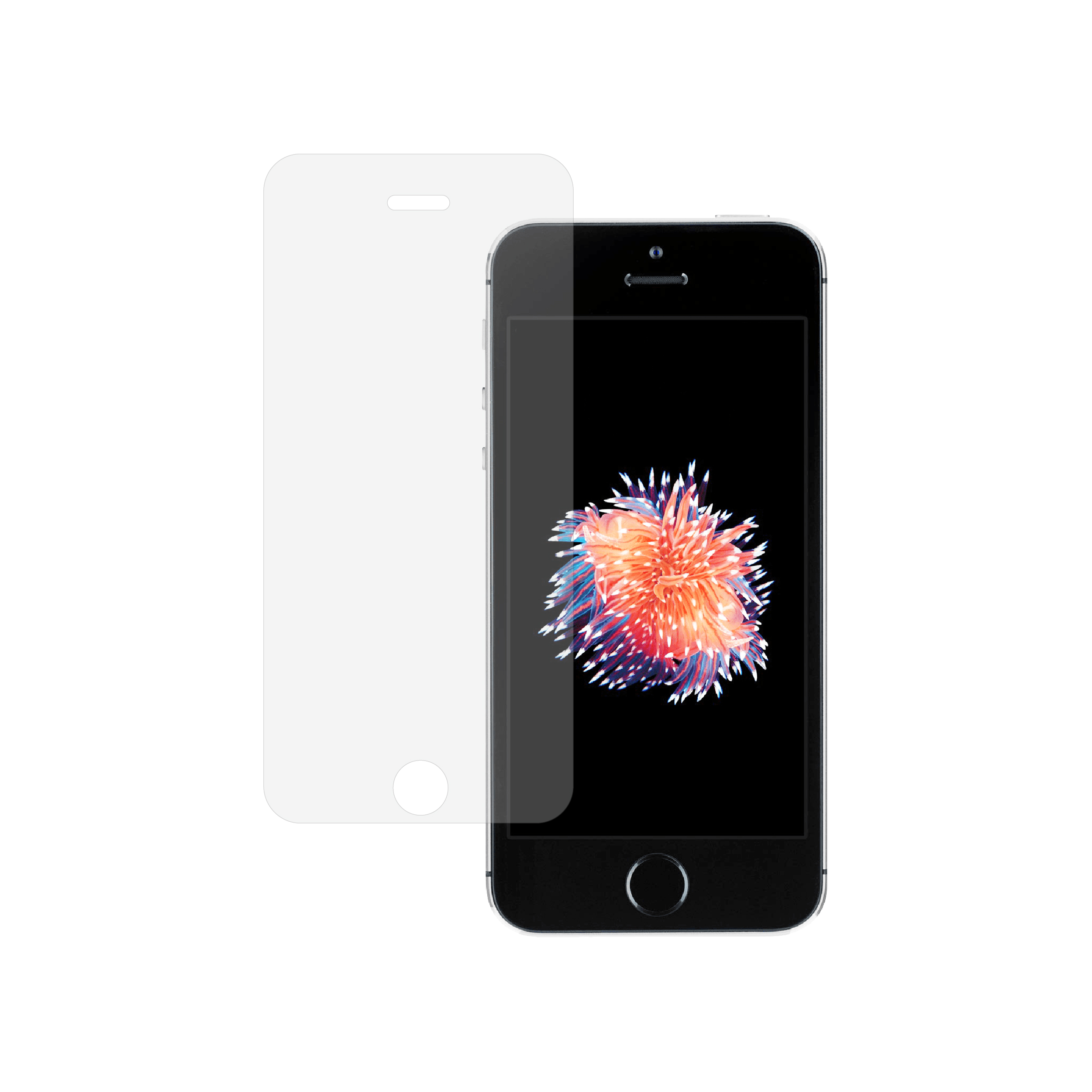 iPhone_SE_2.5D_Clear_SE